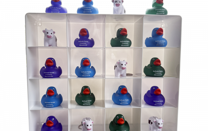 Rubber Duckies and Keychains