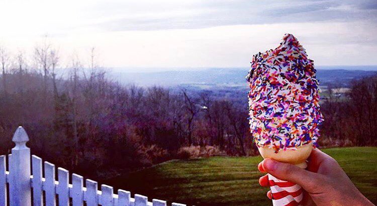 17861506_1749345888425999_567133652389573265_n